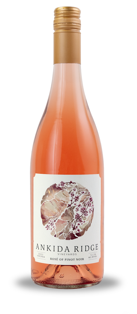 Rose-of-Pinot-Noir